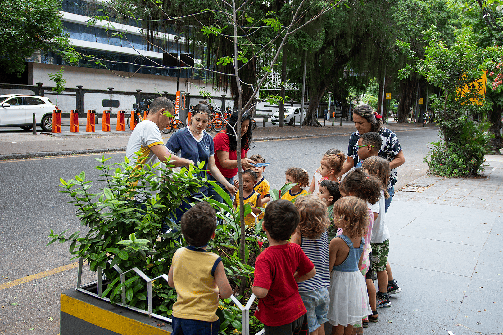 Plantação Urucum (1).png